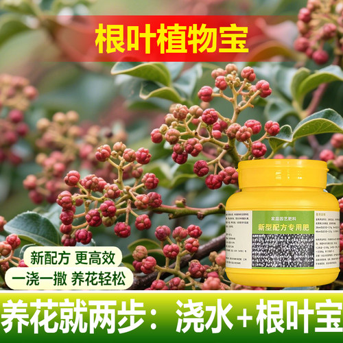 植物专用肥料喷施肥树苗种植结果叶子长褐色铁锈斑点营养液肥料