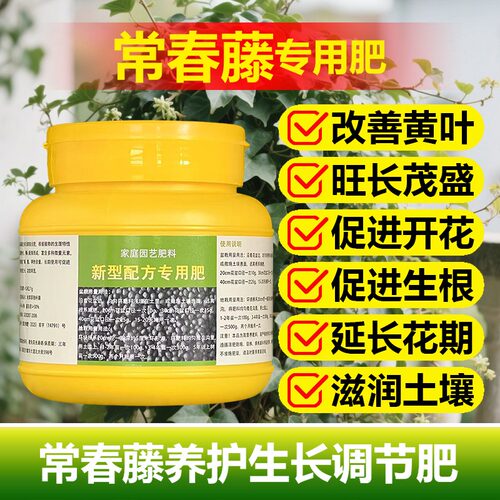 常春藤专用肥料盆栽爬藤金边常春藤垂吊营养液开花发芽长叶面肥料
