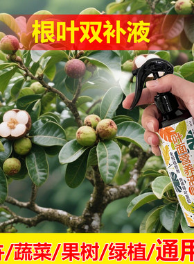 植物专用肥料促分枝发侧芽营养液黑金刚橡皮树盆栽长新叶喷施肥
