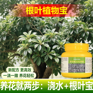 植物专用肥料绿植夏威夷竹营养液叶面肥有机肥氮磷钾水溶化肥料