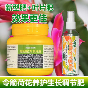 令箭荷花专用肥料植物营养液喷施叶片干瘪锈打蔫枯萎发红花卉肥料