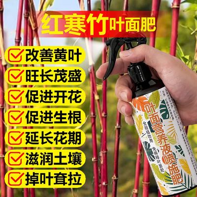红寒竹专用肥料朱竹盆栽营养液紫寒竹红竹米竹观音竹紫竹绿植肥料