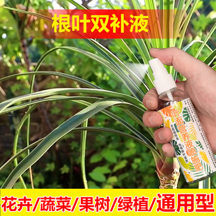 植物专用肥料养殖盆栽花肥土营养液叶子卷缩枯黄脱落掉叶面肥料