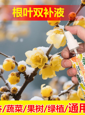 植物专用肥料花盆栽巴西龙骨仙人柱玉麒麟专用土营养液叶面肥料
