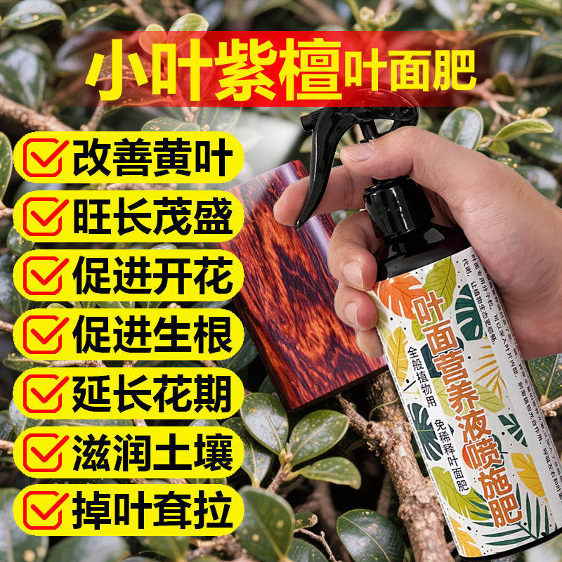 小叶紫檀专用肥料盆栽盆景树苗紫檀树黑骨茶树专用土营养液叶面肥