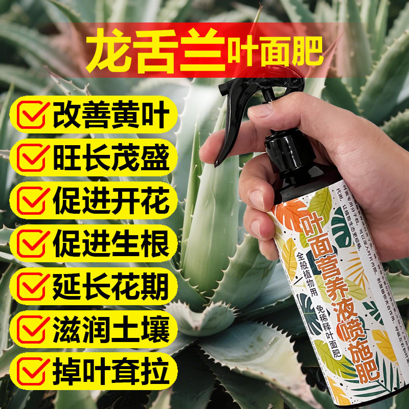 龙舌兰专用肥料植物营养液小苗旺长侧芽旺长发根厚实饱满叶面肥料