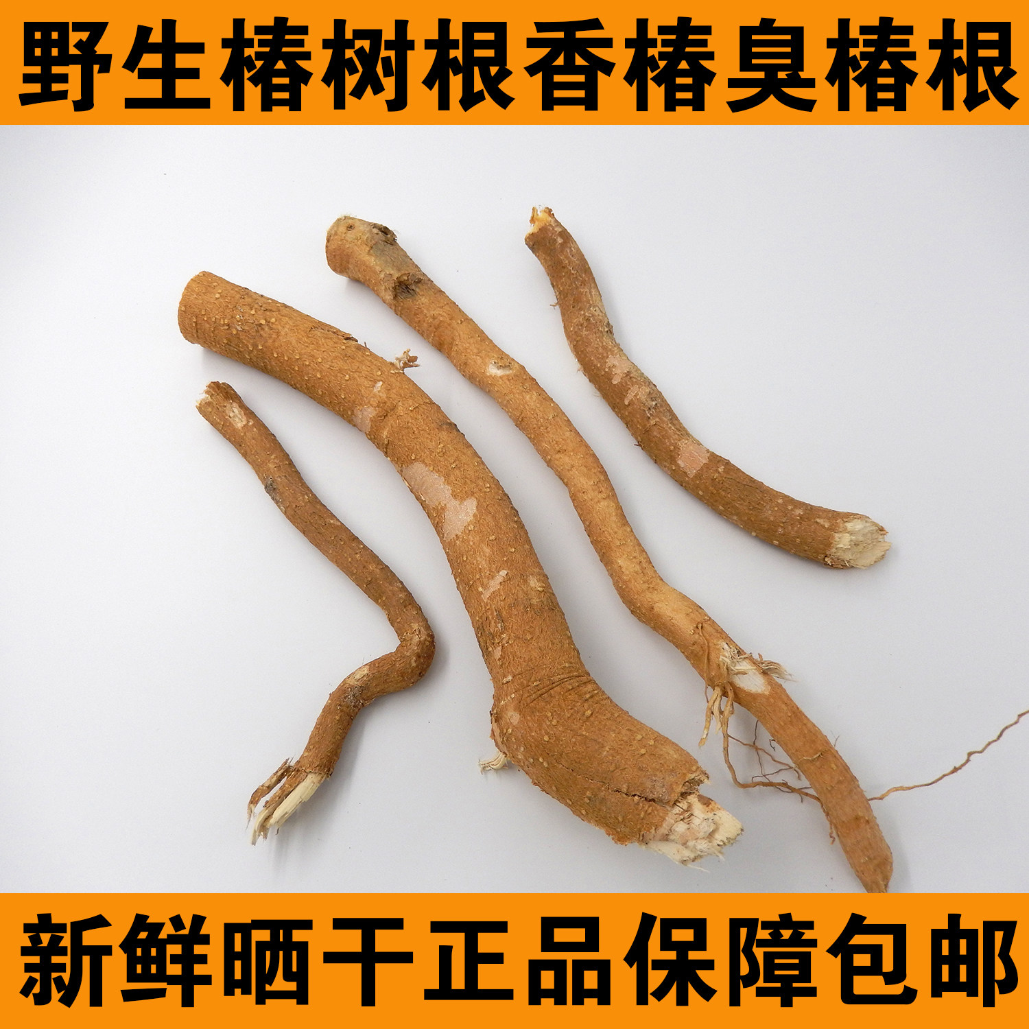 臭椿天根 椿树根 香椿树根 椿根中药材500克一斤包邮椿白根春树根