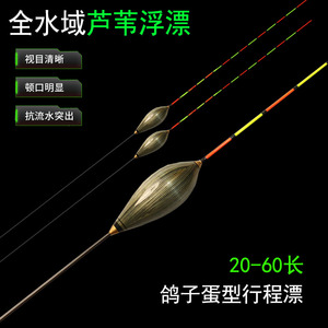 芦苇漂60CM长脚长尾鸽子蛋型截口行程浮漂高灵敏鲫鱼漂黑坑鲤鱼漂