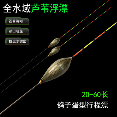 芦苇60CM长脚长尾鸽子蛋型行程漂