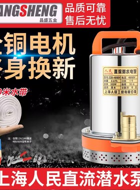 上海人民12V24V48V60V72V直流潜水泵电动车抽水泵电瓶抽水电瓶泵