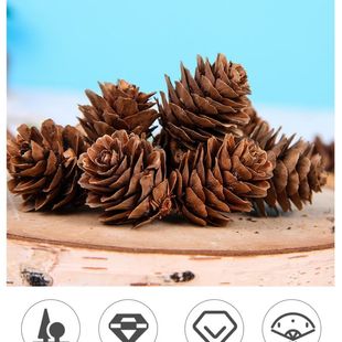 松花落叶松果藤圈装饰松塔白松果圣诞节装饰松果迷你松果