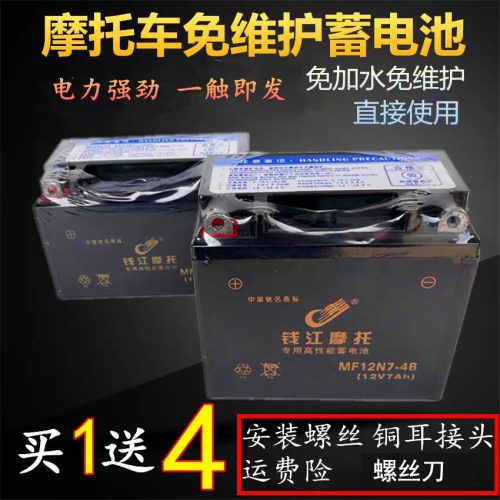 摩托车电瓶蓄电池12v免维护