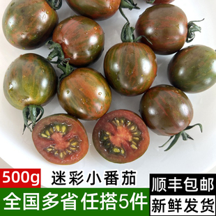 新鲜迷彩小番茄500g 新鲜蔬菜 现摘圣女果樱桃小西红柿 当季