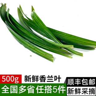 新鲜香兰叶500g 班兰叶甲抛叶斑斓蛋糕千层糕芒果糯米饭调料香料