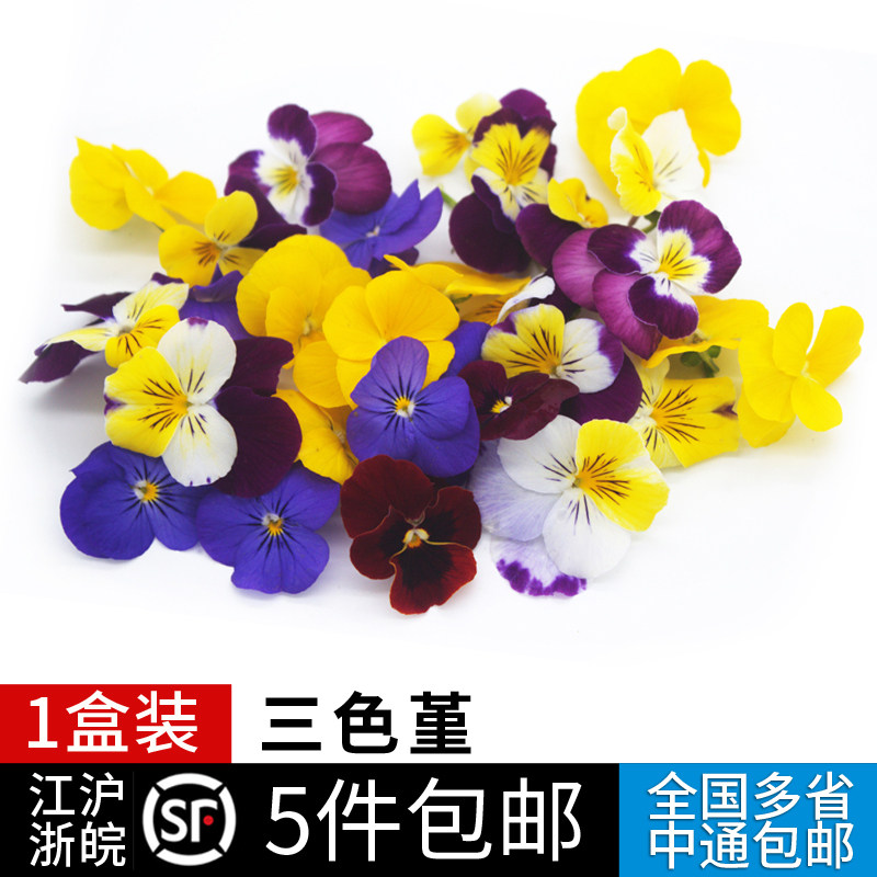 三色堇花朵西餐摆盘装饰点缀用