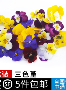 新鲜三色堇50朵/盒 可食用鲜花西餐酒店日料糕点摆盘装饰点缀花草