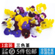 饰点缀花草 可食用鲜花西餐酒店日料糕点摆盘装 新鲜三色堇50朵 盒