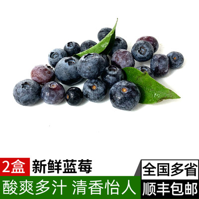 新鲜蓝莓鲜果2盒 现摘美味浆果水果辅食材料酸甜爽口 包邮