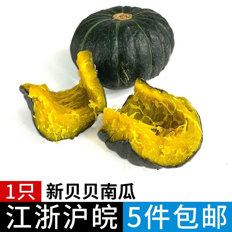 贝贝南瓜1只 板栗味小南瓜粉糯香甜宝宝辅食 满5件顺丰包邮