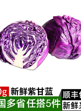 紫甘蓝650g 紫包菜球紫色红椰菜生菜 新鲜蔬菜西餐凉拌沙拉食材