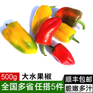 满5件 新鲜水果椒500g 甜椒辣椒沙拉凉拌炒菜食材 包邮 彩椒