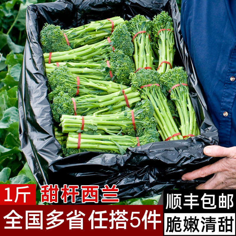 甜杆西兰500g 芦笋西兰花新鲜时令蔬菜 清甜脆嫩 西餐沙拉食材