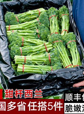 甜杆西兰苔500g 芦笋西兰花新鲜时令蔬菜 脆嫩 西餐沙拉食材