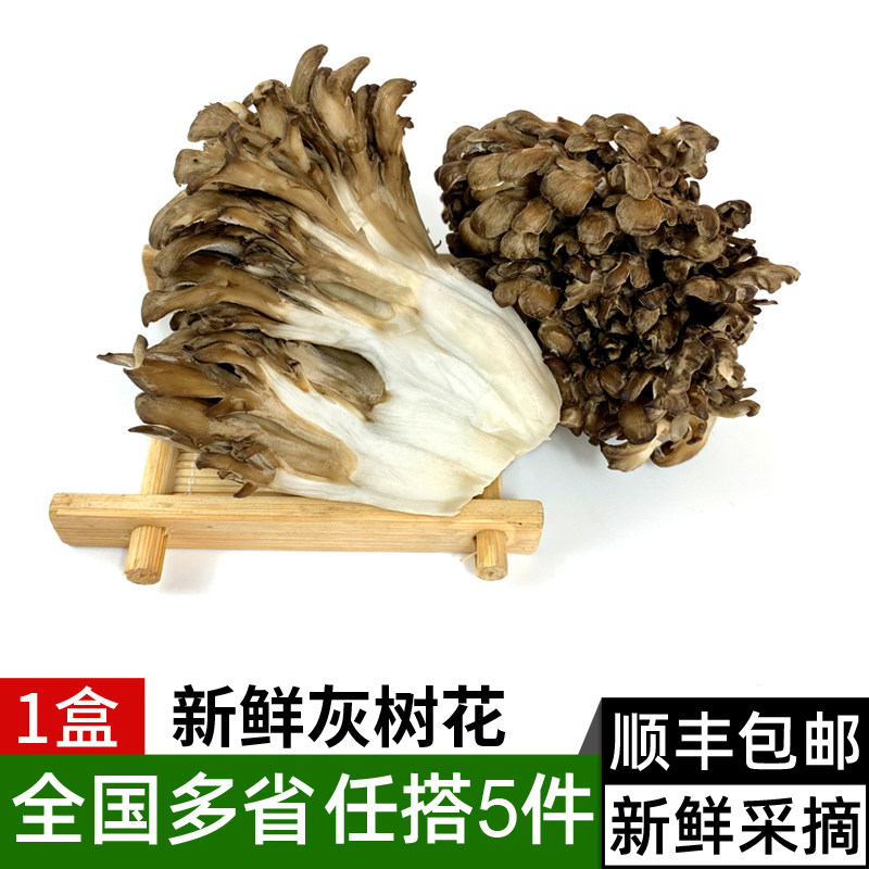 新鲜灰树花舞茸150g 灰树菇 食用菌菇 高山栗蘑菌菇菊花菌蔬菜