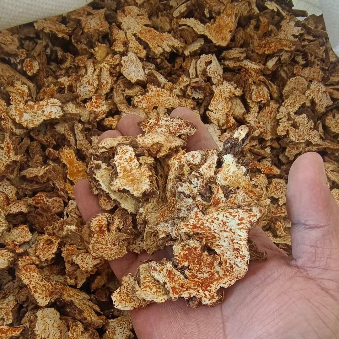 苍术1000克包邮 承德苍术 