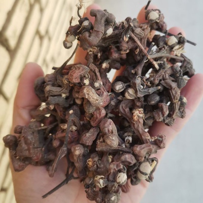 拐枣1000克包邮中药材鸡拐枣干万寿果 万子梨俅江枳椇 金钩梨