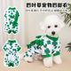 素 狗狗四叶草印花衣服圣帕特里克宠物狗潮流元 宠物服装 春装