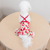 母狗狗衣服夏季 中小型犬可爱公主女泰迪雪纳瑞连衣裙宠物裙子 薄款