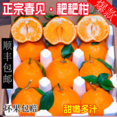 特级正宗四川春见耙耙柑10斤粑粑柑新鲜孕妇水果杷杷丑桔橘子顺丰