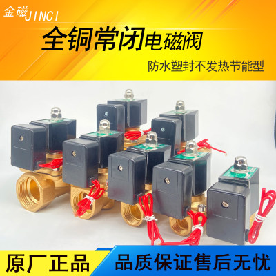 2w塑封防潮节能常闭电磁阀4分6分1寸水阀开关控制阀铜线AC220V24V