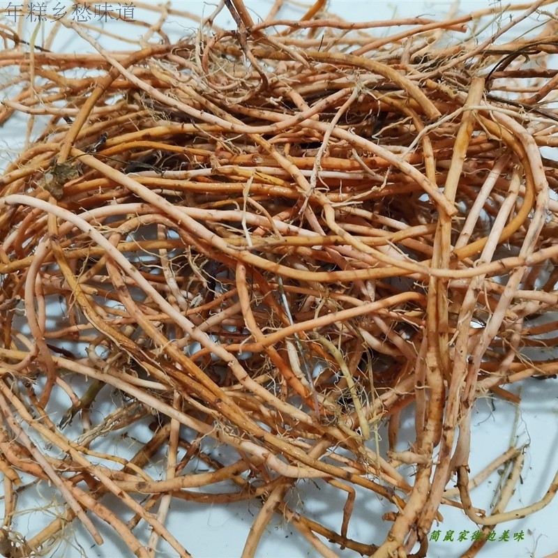 红根子星宿菜大田基黄干泥鳅菜红根草星宿菜福建屏南青草药膳250g