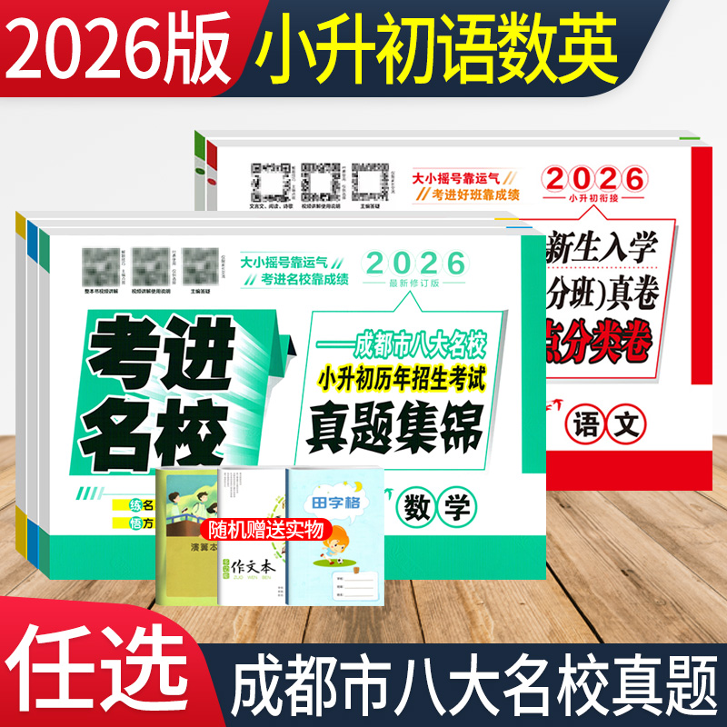 考进名校小升初真题卷语文数学英语成都市八大名校小升初招生分班入学摸底考试真题集锦考点分类卷四川重点中学小考总复习模拟试卷