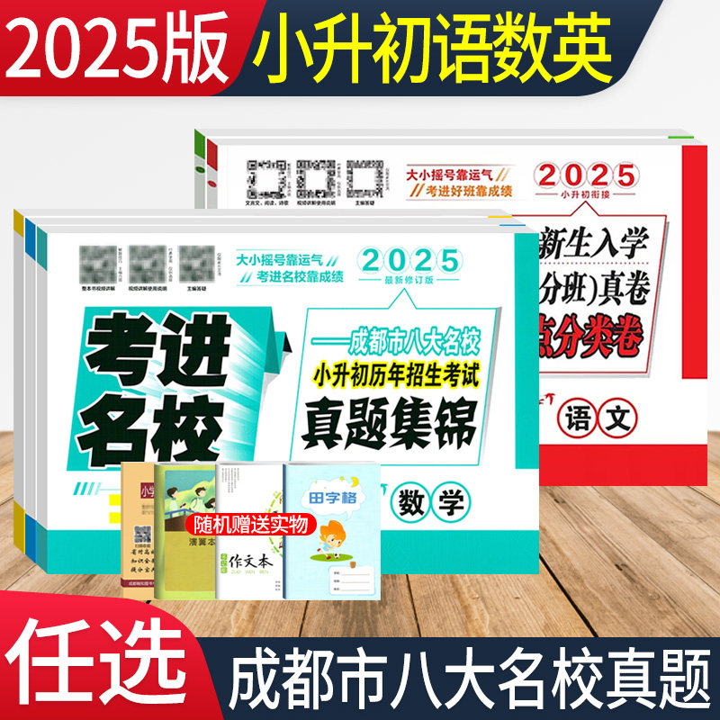 考进名校小升初真题卷语文数学英语成都市八大名校小升初招生分班入学摸底考试真题集锦考点分类卷四川重点中学小考总复习模拟试卷