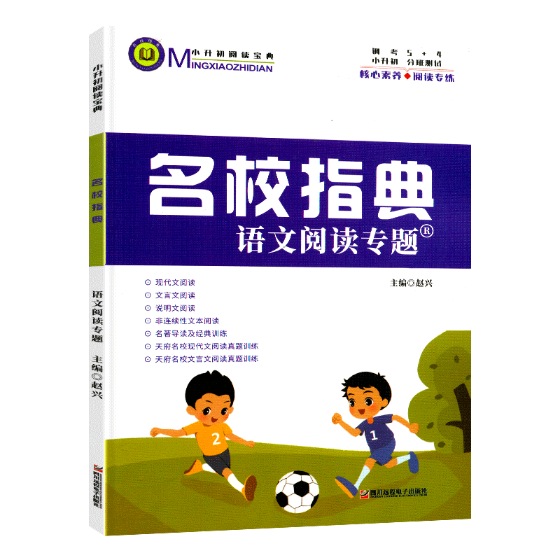 中小学名校阅读宝典名校指典语文阅读专题 小学生四五六年级小升初语文专项训练书现代文文言文阅读理解答题技巧方法指导天府名校
