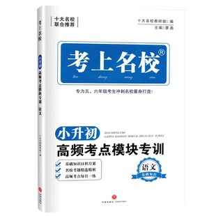 新 考上名校语文小升初五六年级小学总复习练习册名校考题56年级考点分类训练冲刺名校模块专训语文基础知识小学升初中资料