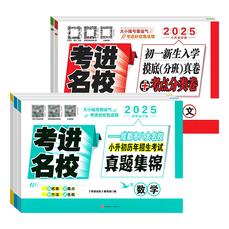 考进名校小升初真题卷语文数学英小学教辅