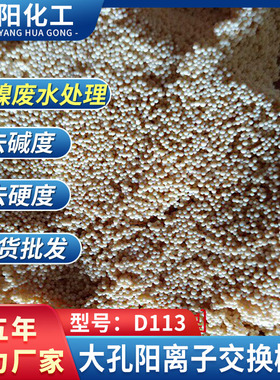 厂家直销大孔吸附树脂，重金属镍吸附专用弱酸阳树脂D113型号齐全