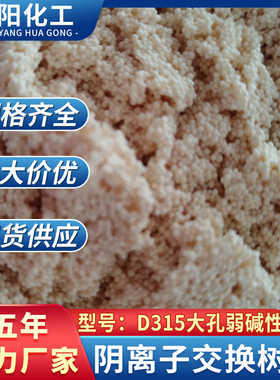 厂家直销大孔吸附树脂D315大孔吸附树脂型号齐全量大从优