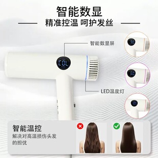 2400w负离子电吹风机护发新加坡negative ion hair dryer