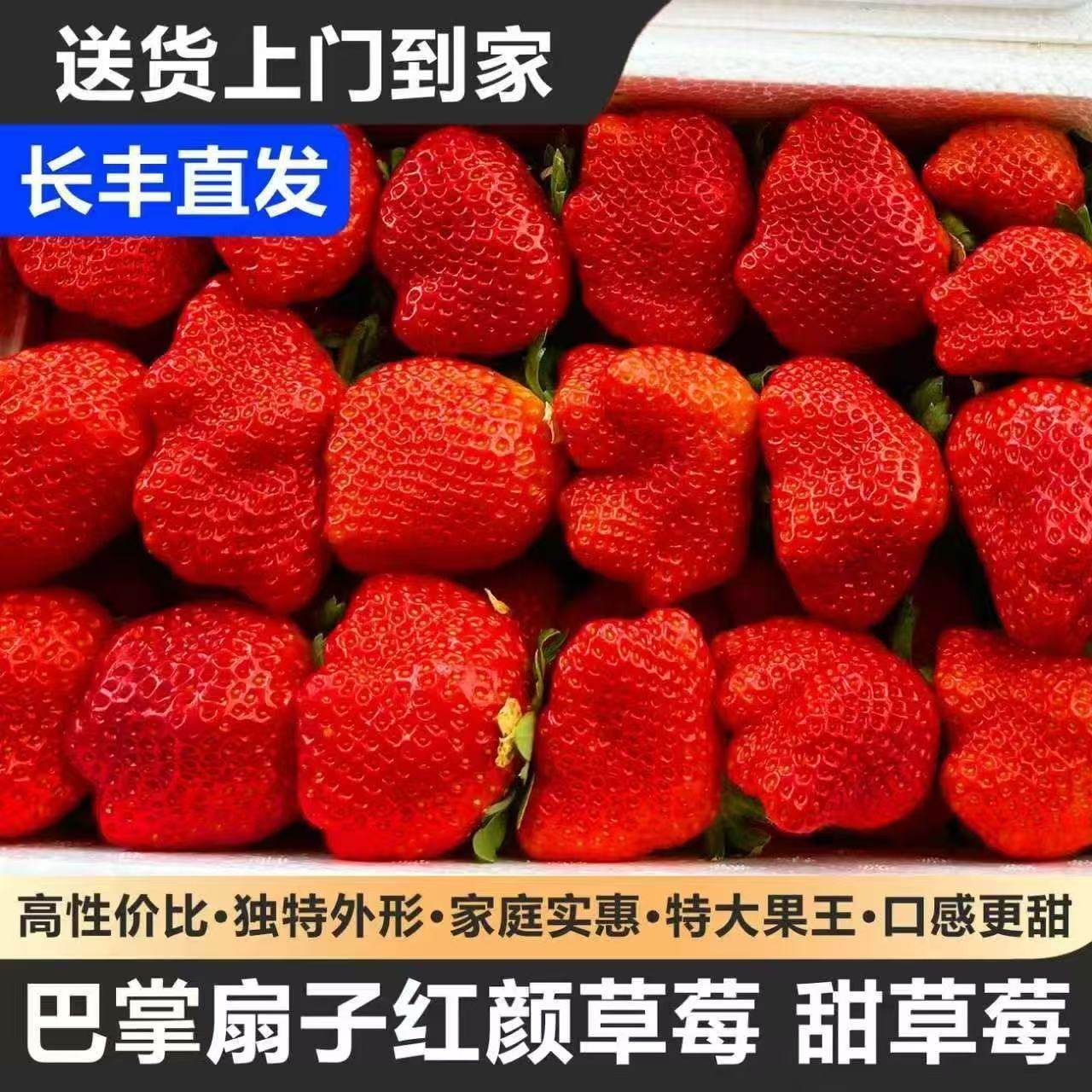 【顺丰送货上门】安徽长丰红颜草莓当季水果特大果2/3斤甜草莓,水产肉类/新鲜蔬果/熟食,草莓,淘宝优惠券,粉丝福利购,淘宝优惠卷