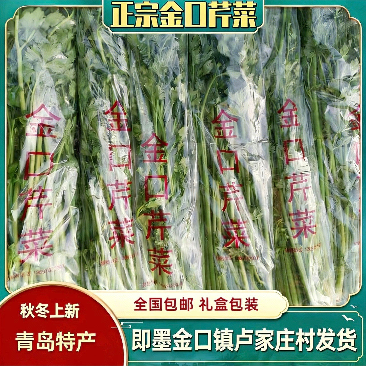 山东青岛特产新鲜蔬菜金口芹菜嫩芯实心芹菜脆甜味浓卢家庄村发货