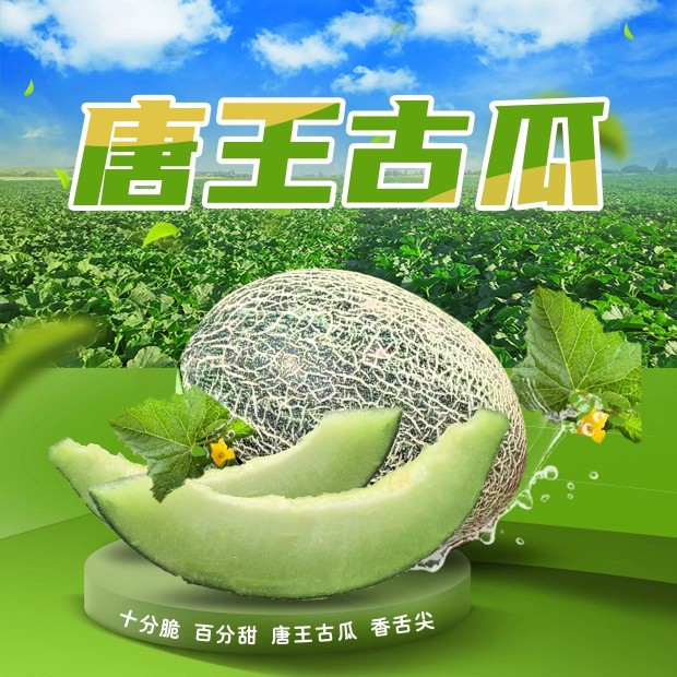 新疆唐王古瓜伽师瓜巴楚留香瓜现摘现发鲜果当季哈密瓜脆甜包邮