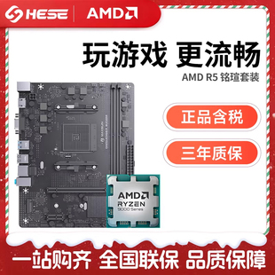 锐龙R5 CPU主板套装 5600 A520 5600GT散片搭铭瑄B450M AMD