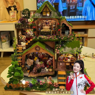 DIY小屋森林奇遇房子城堡别墅微缩模型3D立体积木玩具生日礼物女