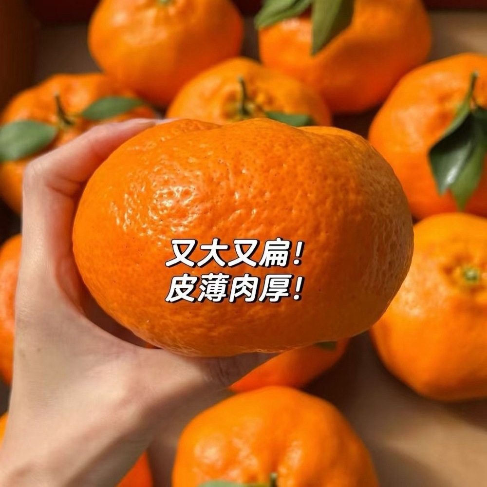 四川甘平柑橘皇后正宗新鲜当季水果现摘现发整箱非耙耙粑粑甘橘子,水产肉类/新鲜蔬果/熟食,橙,淘宝优惠券,粉丝福利购,淘宝优惠卷