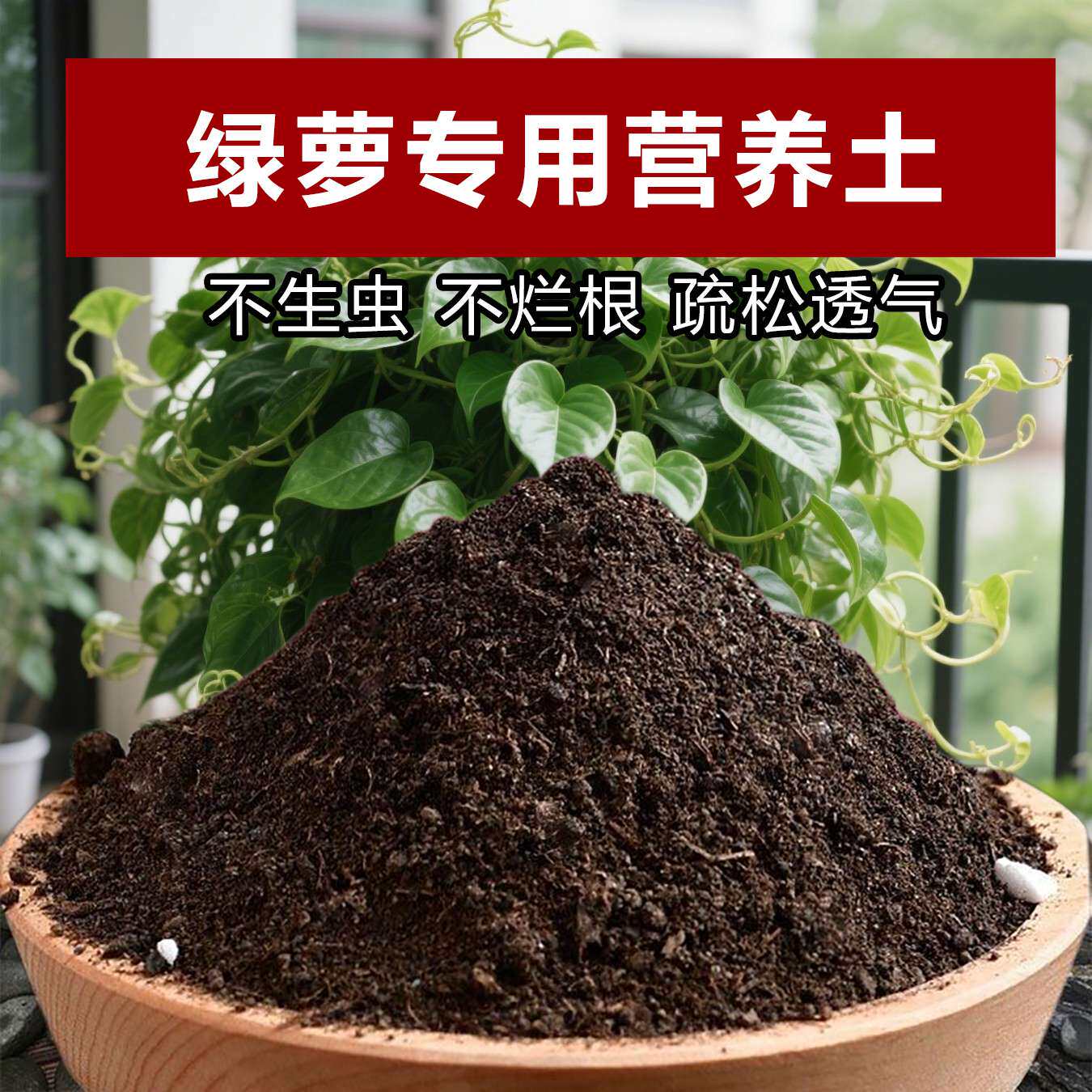 绿萝水培植物专用土料花盆栽绿植营养土花卉土肥绿箩禄萝种植家用